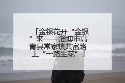 金银花开“金银”来——淄博市高青县常家镇共富路上“一路生花”