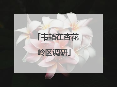 韦韬在杏花岭区调研