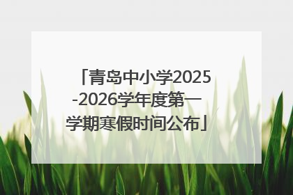 青岛中小学2025-2026学年度第一学期寒假时间公布