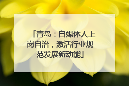 青岛：自媒体人上岗自治，激活行业规范发展新动能