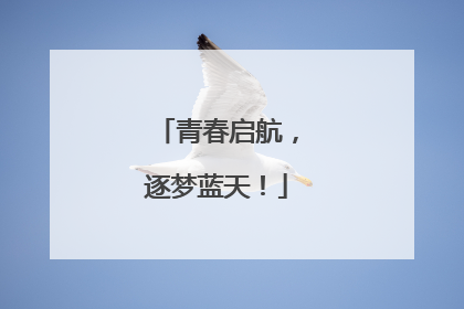 青春启航，逐梦蓝天！