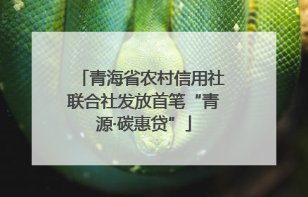 青海省农村信用社联合社发放首笔“青源·碳惠贷”