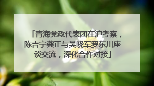 青海党政代表团在沪考察，陈吉宁龚正与吴晓军罗东川座谈交流，深化合作对接