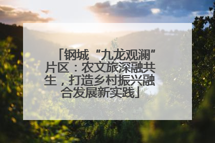 钢城“九龙观澜”片区：农文旅深融共生，打造乡村振兴融合发展新实践