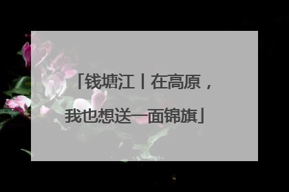 钱塘江丨在高原，我也想送一面锦旗