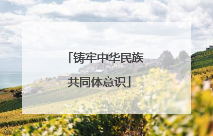 铸牢中华民族共同体意识