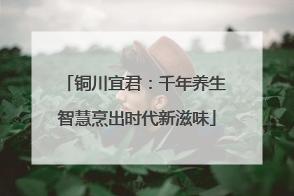 铜川宜君：千年养生智慧烹出时代新滋味