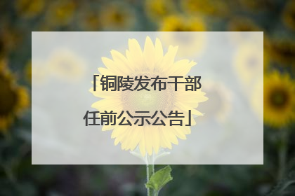 铜陵发布干部任前公示公告