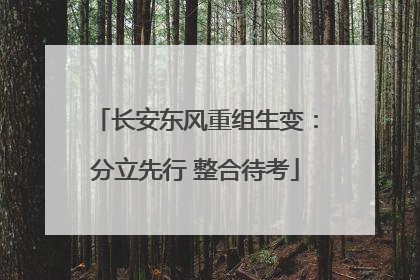 长安东风重组生变：分立先行 整合待考
