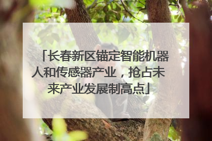 长春新区锚定智能机器人和传感器产业，抢占未来产业发展制高点