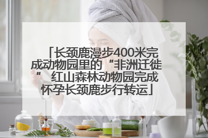 长颈鹿漫步400米完成动物园里的“非洲迁徙” 红山森林动物园完成怀孕长颈鹿步行转运
