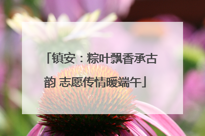 镇安：粽叶飘香承古韵 志愿传情暖端午