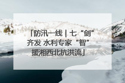 防汛一线｜七“剑”齐发 水利专家“智”援湘西北抗洪流