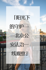 阳光下的守护——北京公安法治一线观察