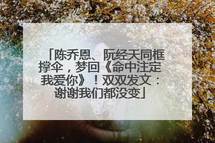 陈乔恩、阮经天同框撑伞，梦回《命中注定我爱你》！双双发文：谢谢我们都没变