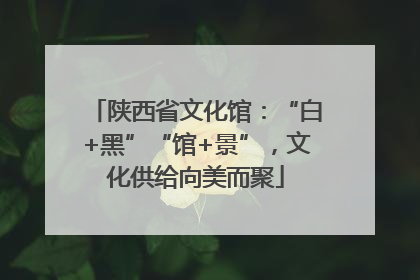 陕西省文化馆：“白+黑”“馆+景”，文化供给向美而聚