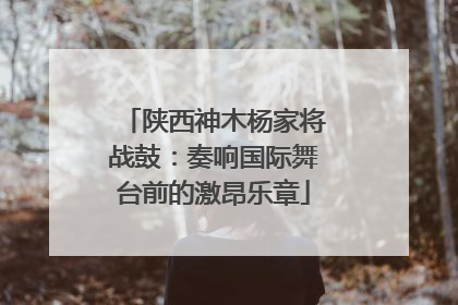 陕西神木杨家将战鼓：奏响国际舞台前的激昂乐章