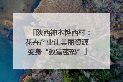 陕西神木铧西村：花卉产业让美丽资源变身“致富密码”