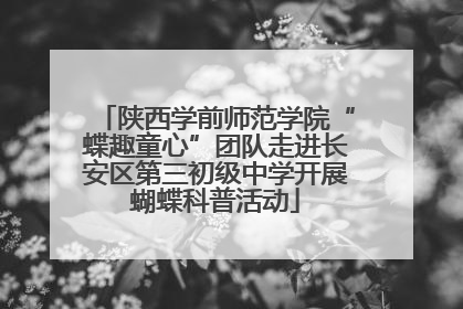 陕西学前师范学院“蝶趣童心”团队走进长安区第三初级中学开展蝴蝶科普活动