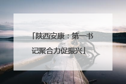 陕西安康：第一书记聚合力促振兴