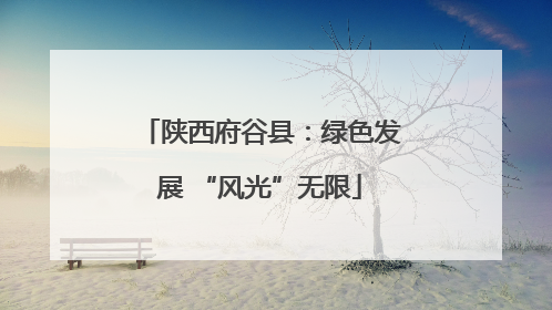 陕西府谷县：绿色发展 “风光”无限