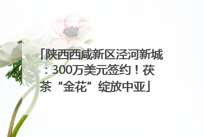 陕西西咸新区泾河新城：300万美元签约！茯茶“金花”绽放中亚