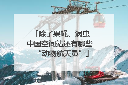 除了果蝇、涡虫 中国空间站还有哪些“动物航天员”