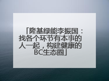 隆基绿能李振国：找各个环节有本事的人一起，构建健康的BC生态圈