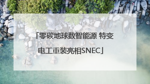 零碳地球数智能源 特变电工重装亮相SNEC