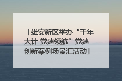 雄安新区举办“千年大计 党建领航”党建创新案例场景汇活动