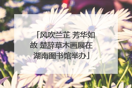 风吹兰芷 芳华如故 楚辞草木画展在湖南图书馆举办