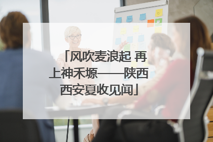 风吹麦浪起 再上神禾塬——陕西西安夏收见闻
