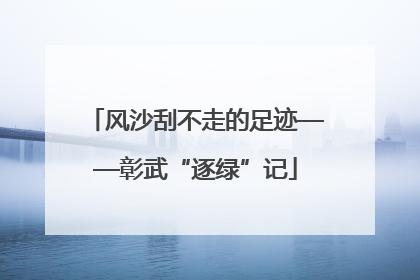 风沙刮不走的足迹——彰武“逐绿”记