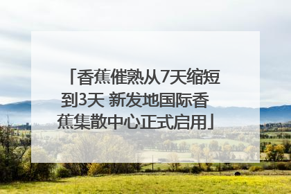 香蕉催熟从7天缩短到3天 新发地国际香蕉集散中心正式启用