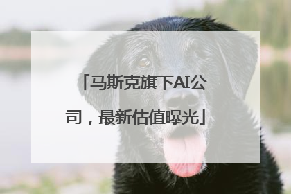 马斯克旗下AI公司，最新估值曝光