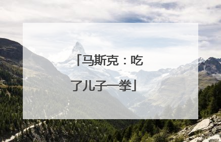 马斯克：吃了儿子一拳