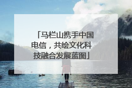 马栏山携手中国电信，共绘文化科技融合发展蓝图