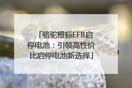 骆驼橙标EFB启停电池：引领高性价比启停电池新选择