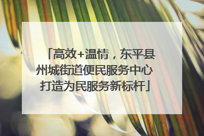 高效+温情，东平县州城街道便民服务中心打造为民服务新标杆