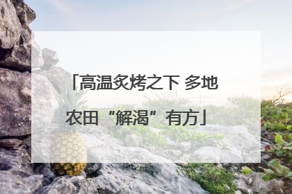 高温炙烤之下 多地农田“解渴”有方
