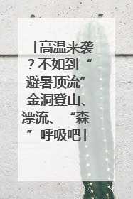 高温来袭？不如到“避暑顶流”金洞登山、漂流、“森”呼吸吧