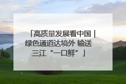 高质量发展看中国｜绿色通道达境外 输送三江“一口鲜”