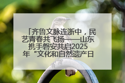 齐鲁文脉连浙中，民艺青春共飞扬——山东携手磐安共启2025年“文化和自然遗产日”系列活动