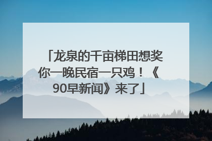 龙泉的千亩梯田想奖你一晚民宿一只鸡！《90早新闻》来了