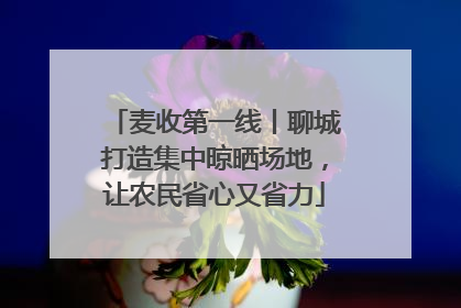 麦收第一线丨聊城打造集中晾晒场地，让农民省心又省力