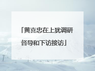 黄喜忠在上犹调研督导和下访接访