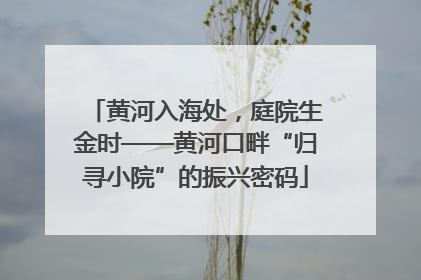 黄河入海处，庭院生金时——黄河口畔“归寻小院”的振兴密码