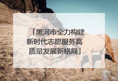黑河市全力构建新时代志愿服务高质量发展新格局