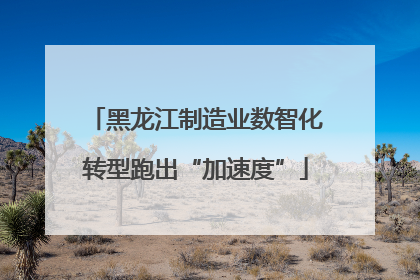 黑龙江制造业数智化转型跑出“加速度”