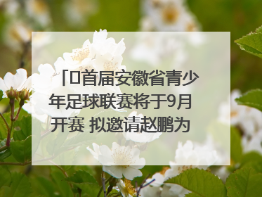 ﻿首届安徽省青少年足球联赛将于9月开赛 拟邀请赵鹏为先导赛开球